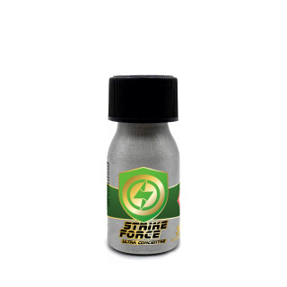 Strike Force Mix Amyl-Propyl 10 ml - Fort | Jolt